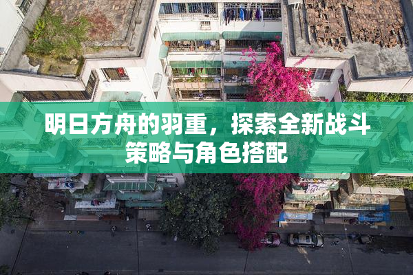 明日方舟的羽重，探索全新战斗策略与角色搭配