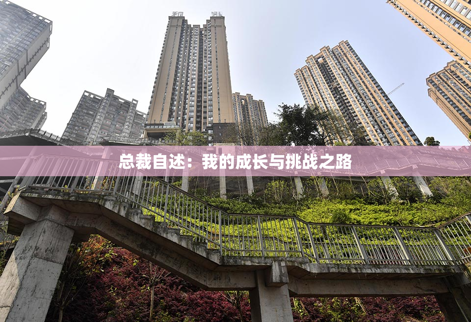 总裁自述：我的成长与挑战之路