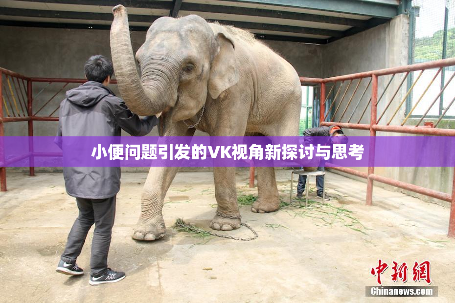 小便问题引发的VK视角新探讨与思考