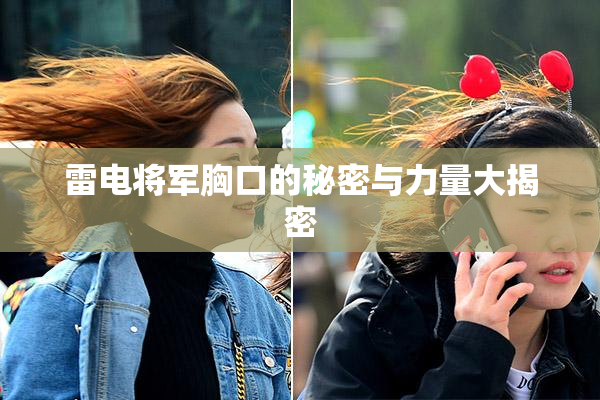 雷电将军胸口的秘密与力量大揭密