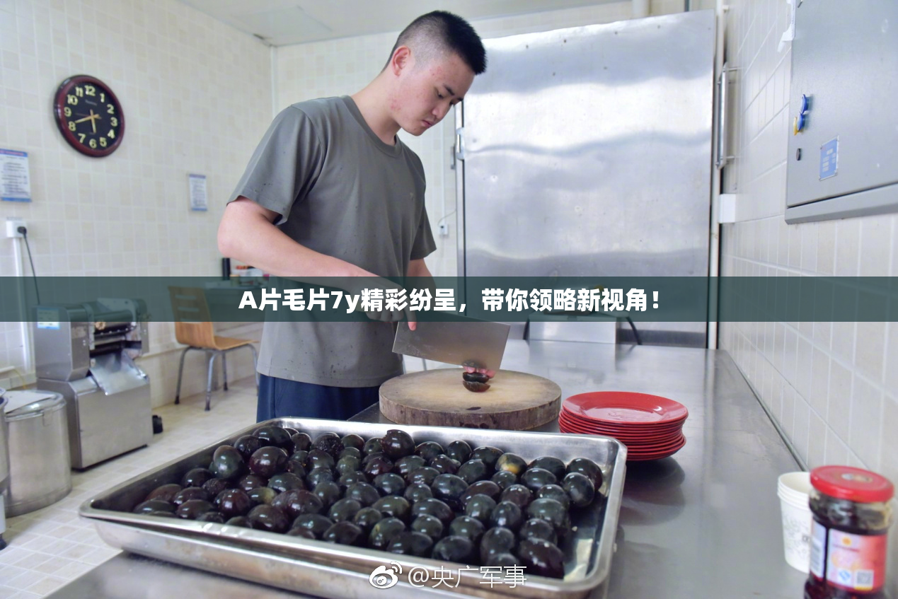 A片毛片7y精彩纷呈，带你领略新视角！