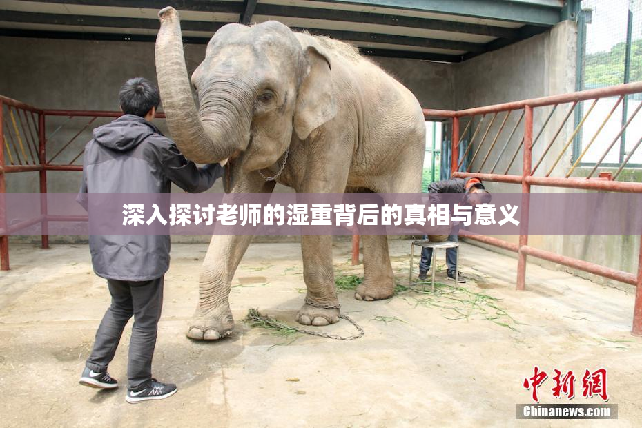 深入探讨老师的湿重背后的真相与意义