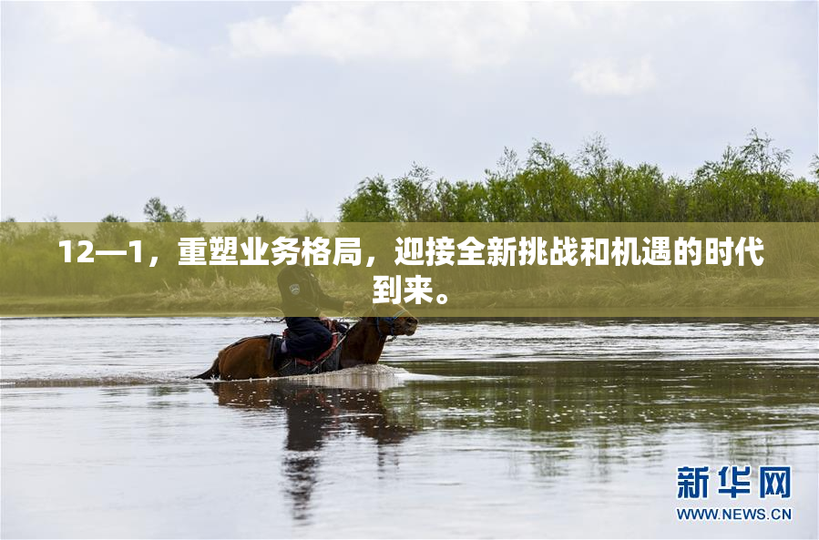 12—1，重塑业务格局，迎接全新挑战和机遇的时代到来。