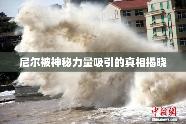 尼尔被神秘力量吸引的真相揭晓