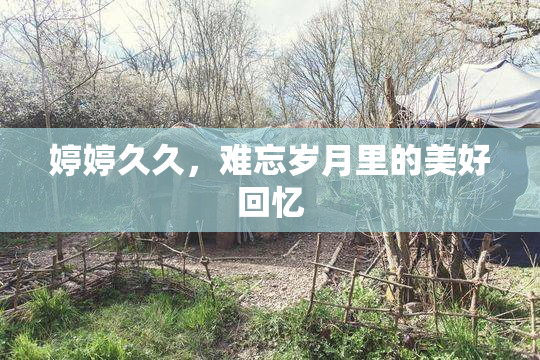 婷婷久久，难忘岁月里的美好回忆