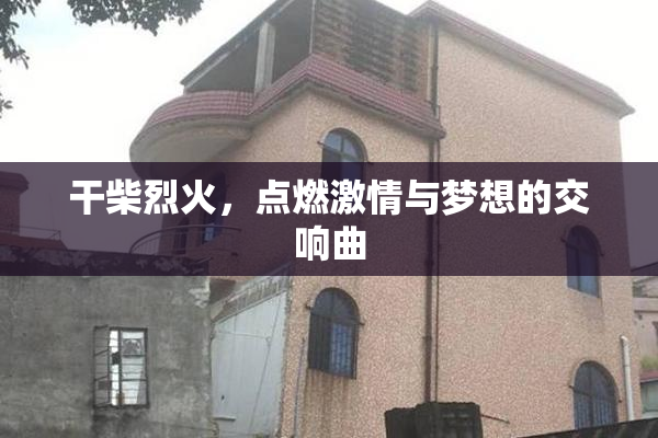 干柴烈火，点燃激情与梦想的交响曲
