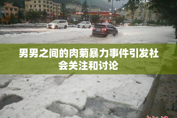 男男之间的肉菊暴力事件引发社会关注和讨论