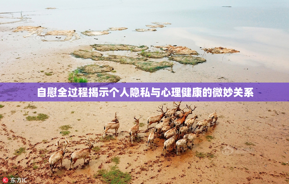 自慰全过程揭示个人隐私与心理健康的微妙关系