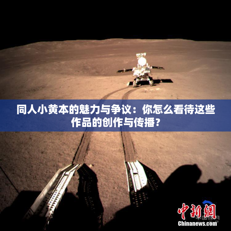 同人小黄本的魅力与争议：你怎么看待这些作品的创作与传播？