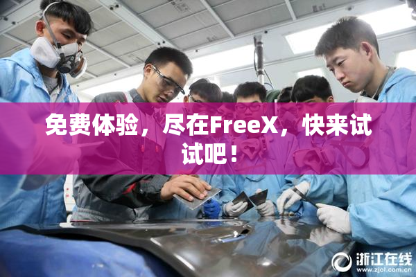 免费体验，尽在FreeX，快来试试吧！