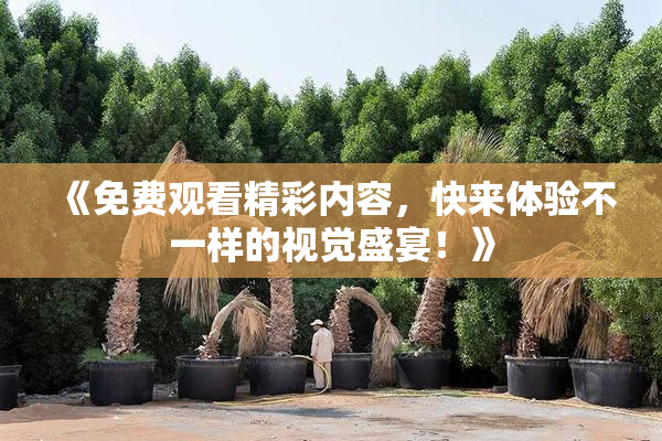 《免费观看精彩内容，快来体验不一样的视觉盛宴！》