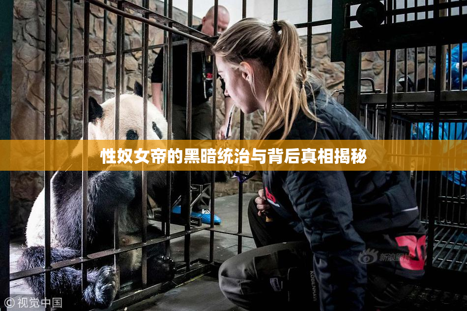 性奴女帝的黑暗统治与背后真相揭秘