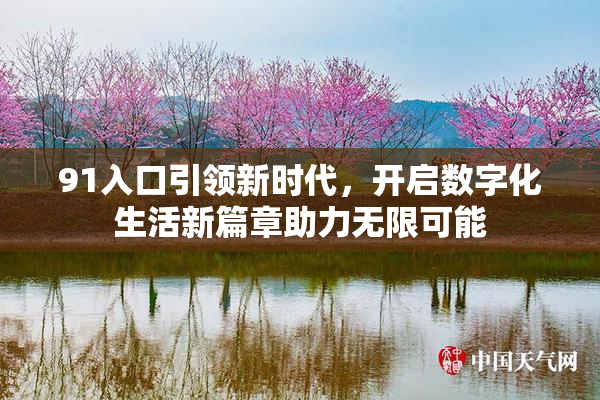 91入口引领新时代，开启数字化生活新篇章助力无限可能