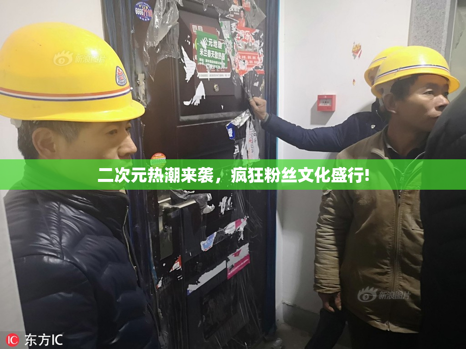 二次元热潮来袭，疯狂粉丝文化盛行!