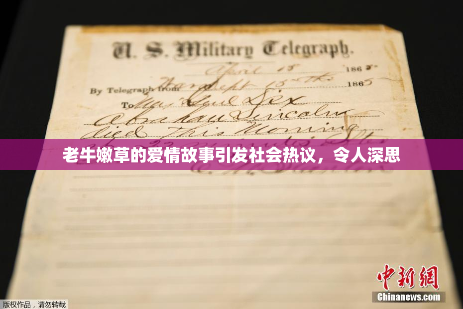 老牛嫩草的爱情故事引发社会热议，令人深思