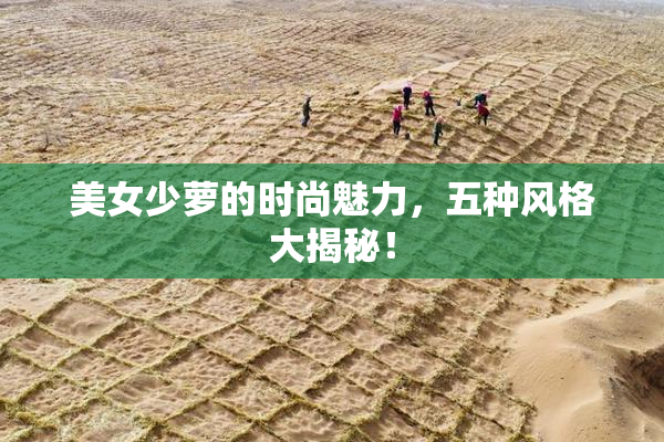 美女少萝的时尚魅力，五种风格大揭秘！