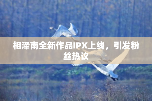 相泽南全新作品IPX上线，引发粉丝热议