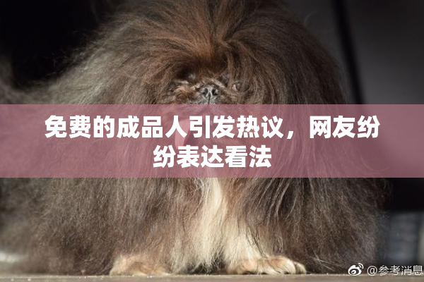 免费的成品人引发热议，网友纷纷表达看法