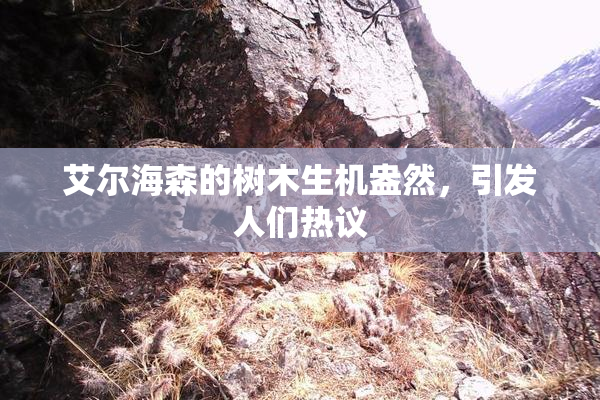 艾尔海森的树木生机盎然，引发人们热议