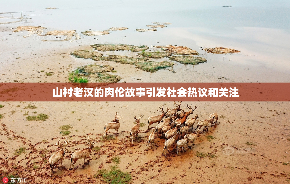 山村老汉的肉伦故事引发社会热议和关注