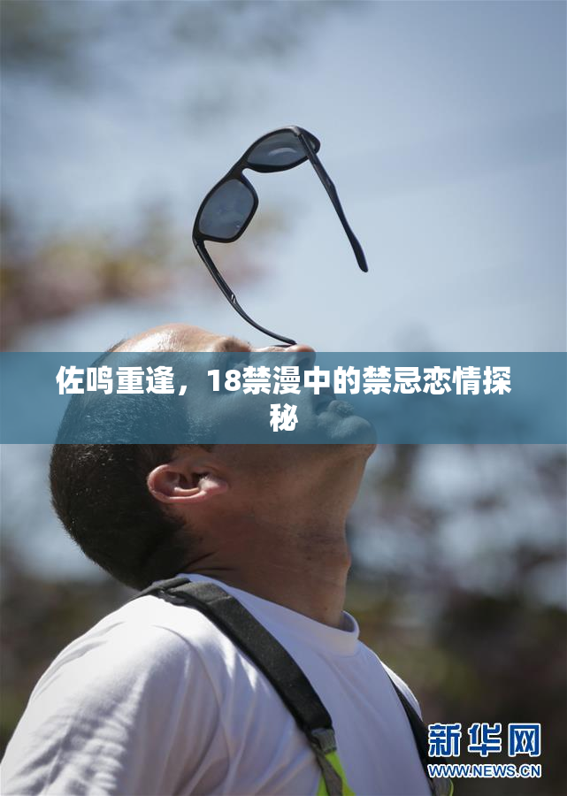 佐鸣重逢，18禁漫中的禁忌恋情探秘