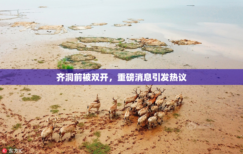 齐洞前被双开，重磅消息引发热议