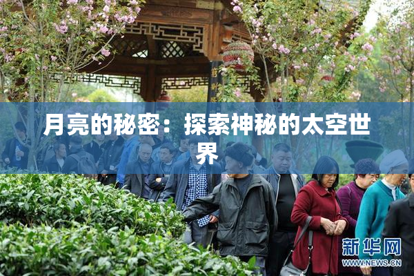 月亮的秘密：探索神秘的太空世界