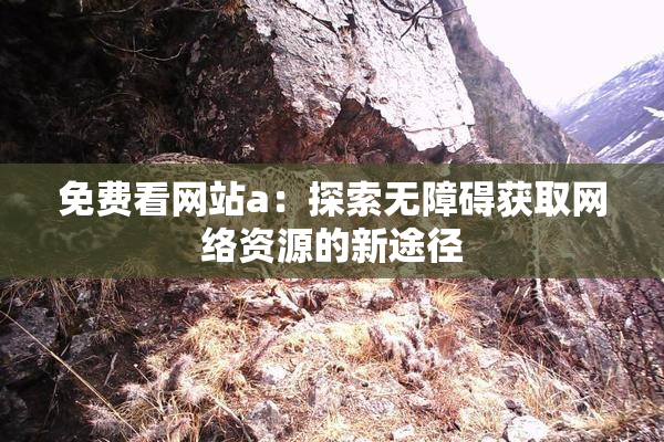 免费看网站a：探索无障碍获取网络资源的新途径