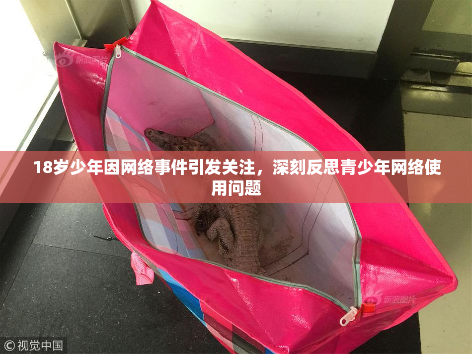 18岁少年因网络事件引发关注，深刻反思青少年网络使用问题
