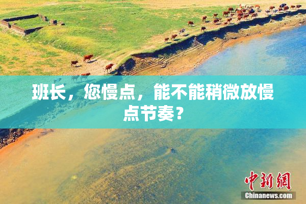班长，您慢点，能不能稍微放慢点节奏？