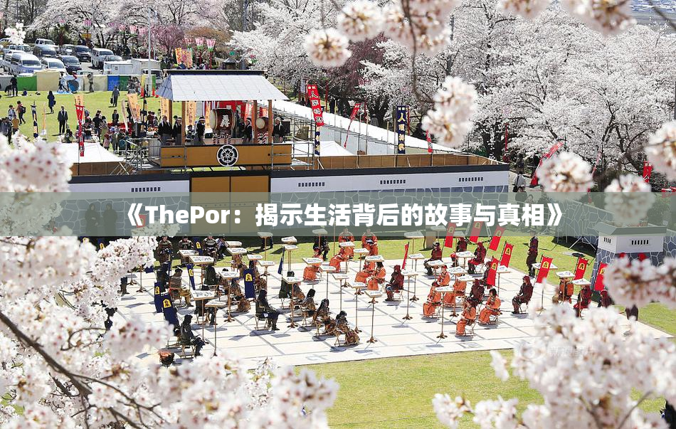 《ThePor：揭示生活背后的故事与真相》