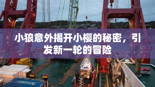 小狼意外揭开小樱的秘密，引发新一轮的冒险