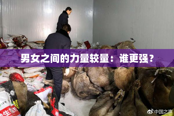 男女之间的力量较量：谁更强？