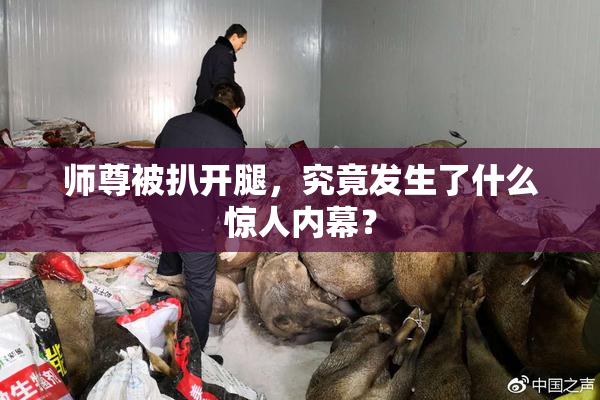 师尊被扒开腿，究竟发生了什么惊人内幕？