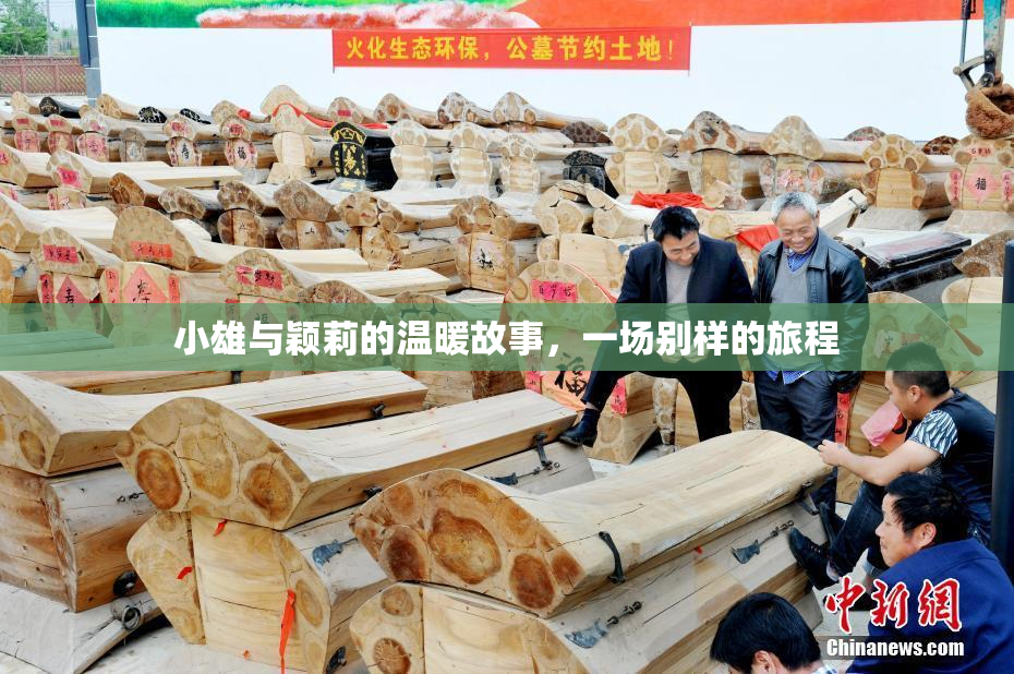 小雄与颖莉的温暖故事，一场别样的旅程