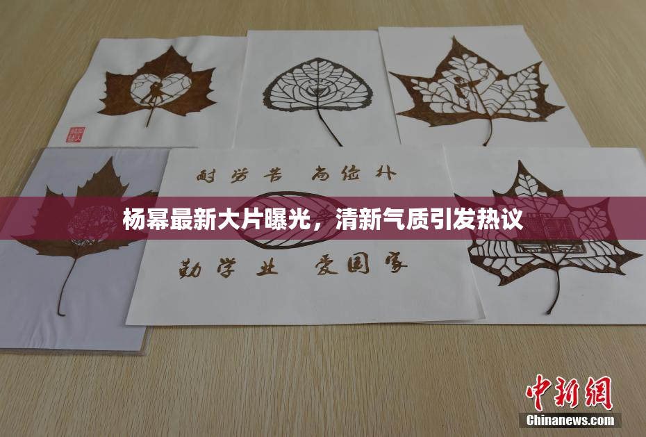 杨幂最新大片曝光，清新气质引发热议