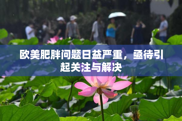 欧美肥胖问题日益严重，亟待引起关注与解决