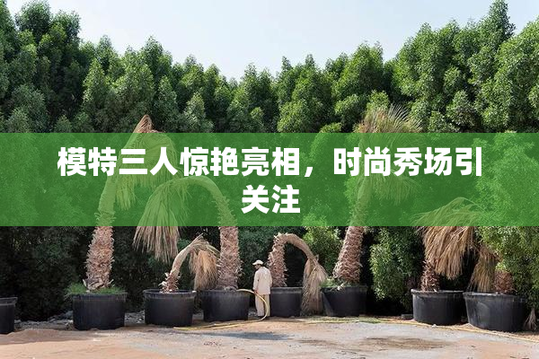 模特三人惊艳亮相，时尚秀场引关注