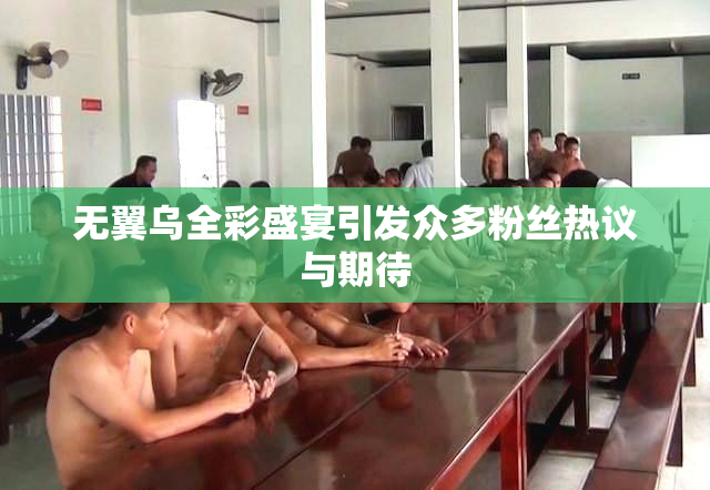 无翼乌全彩盛宴引发众多粉丝热议与期待