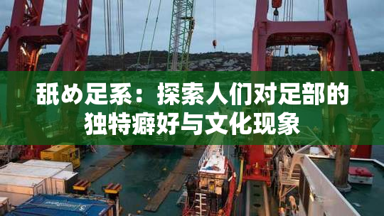 舐め足系：探索人们对足部的独特癖好与文化现象