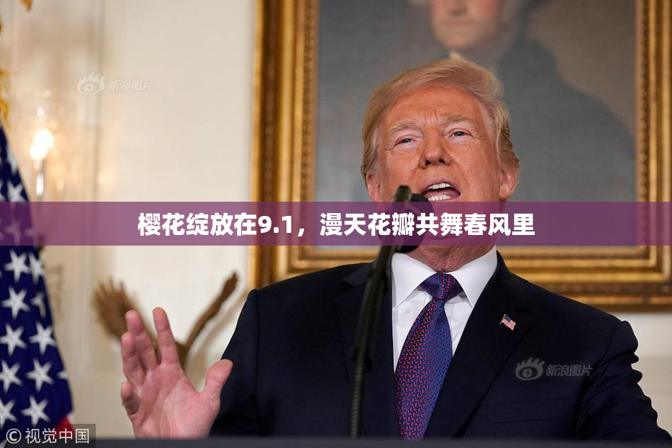 樱花绽放在9.1，漫天花瓣共舞春风里