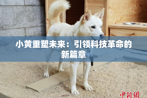 小黄重塑未来：引领科技革命的新篇章