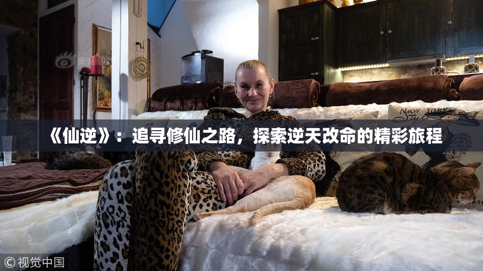 《仙逆》：追寻修仙之路，探索逆天改命的精彩旅程