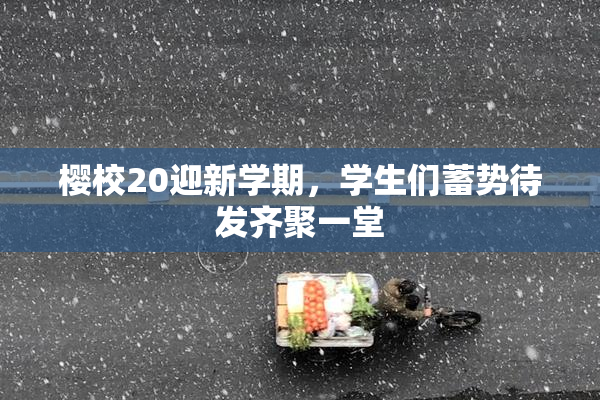 樱校20迎新学期，学生们蓄势待发齐聚一堂