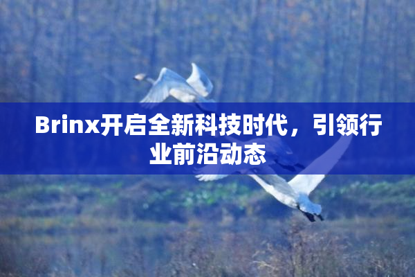 Brinx开启全新科技时代，引领行业前沿动态
