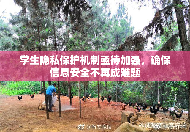 学生隐私保护机制亟待加强，确保信息安全不再成难题