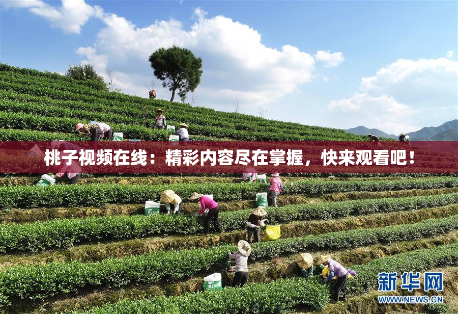 桃子视频在线：精彩内容尽在掌握，快来观看吧！