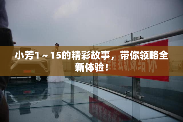 小芳1～15的精彩故事，带你领略全新体验！