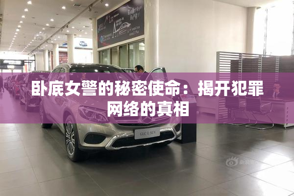 卧底女警的秘密使命：揭开犯罪网络的真相