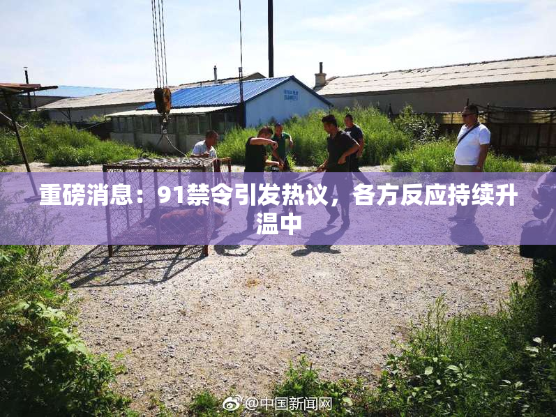 重磅消息：91禁令引发热议，各方反应持续升温中